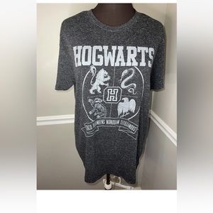 Wizarding World of Harry Potter Men's Dark Gray Hogwartsโ House T-shirt Size L